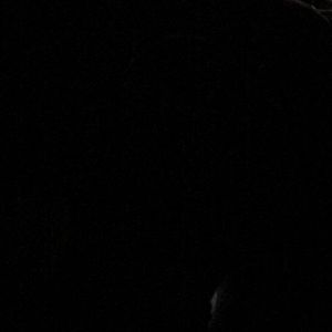 Meet your Posher, Frank